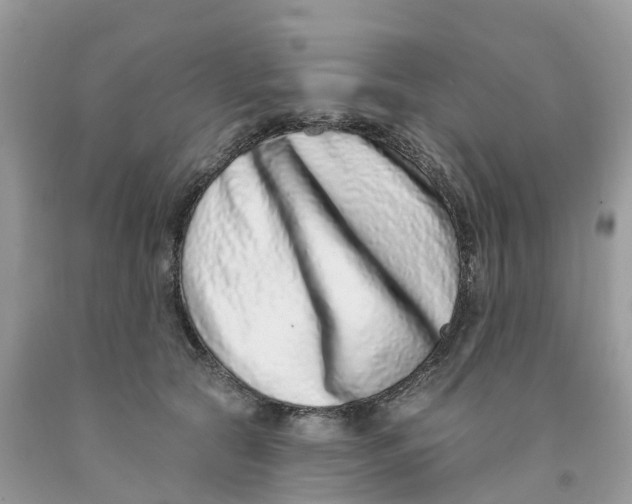 X0000091560561200709141538