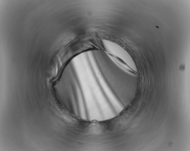 X0000091560562200709141538