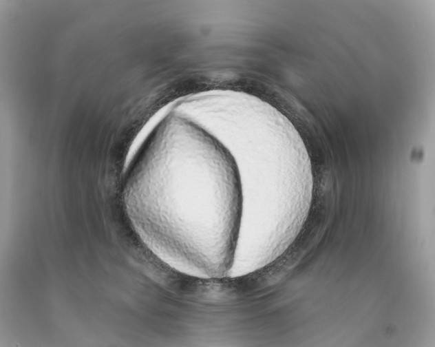 X0000091560565200709141538