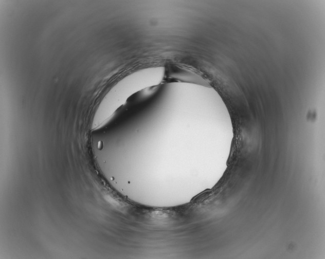 X0000091560566200709141538