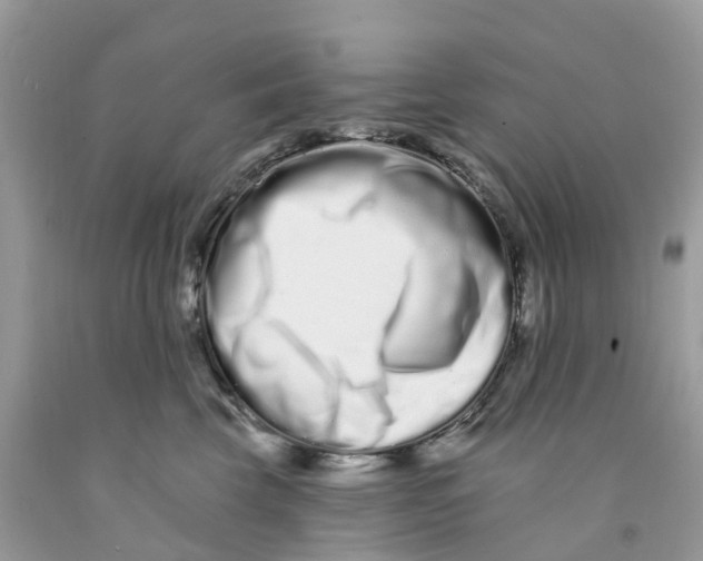 X0000091560569200709141538