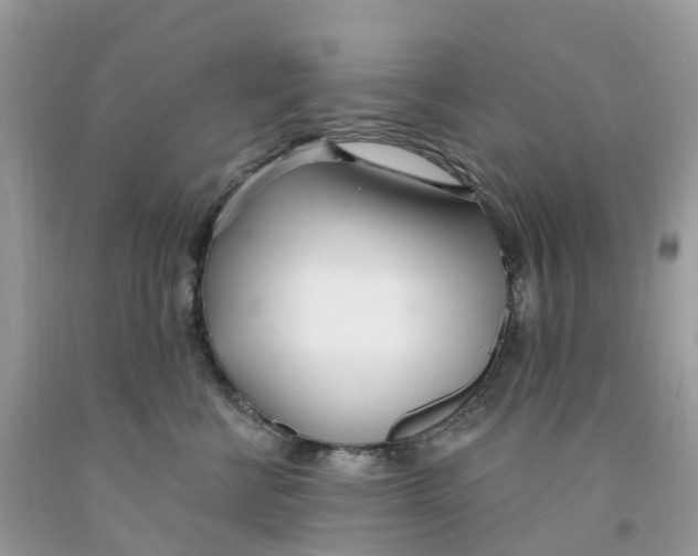 X0000091560570200709141538