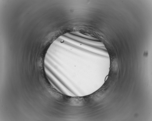 X0000091560571200709141538