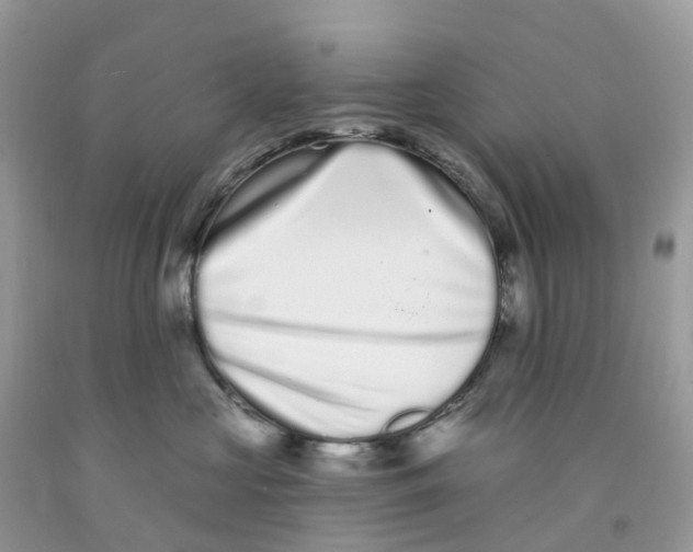 X0000091560573200709141538