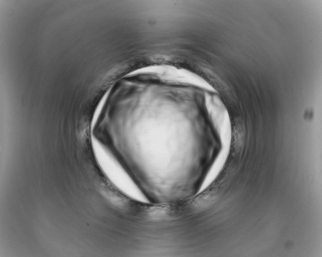 X0000091560574200709141538