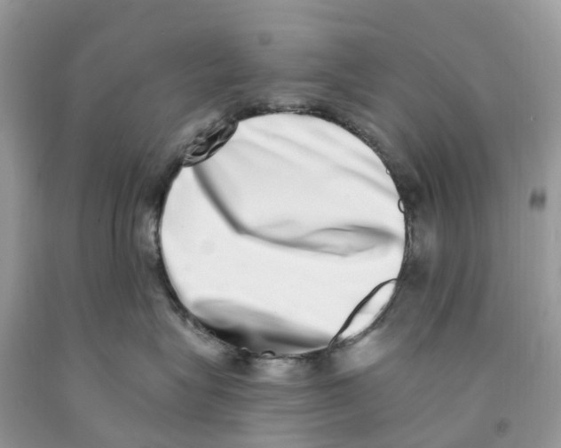 X0000091560575200709141538