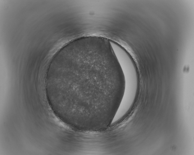 X0000091560577200709141537