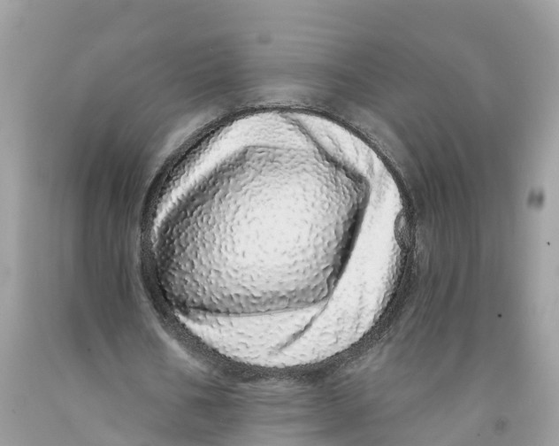 X0000091560578200709141537