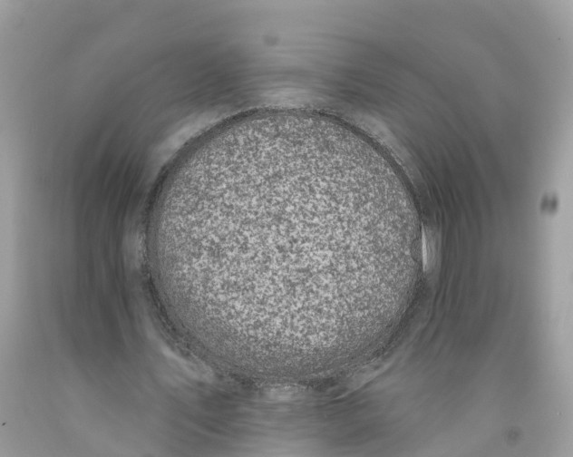 X0000091560579200709141537