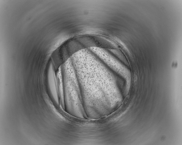 X0000091560581200709141537