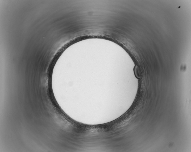 X0000091560584200709141537