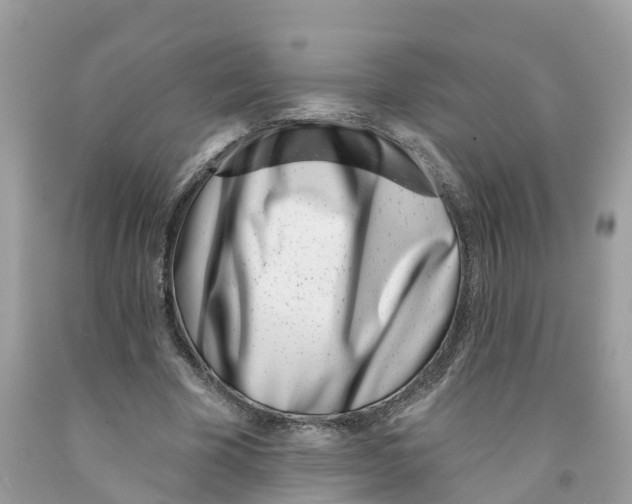 X0000091560585200709141537