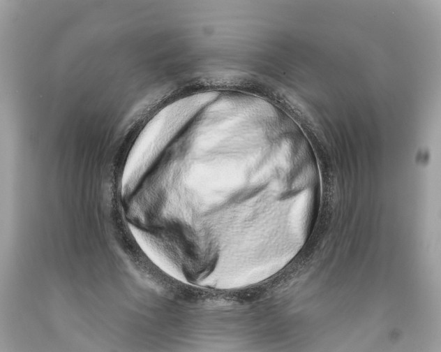 X0000091560586200709141537