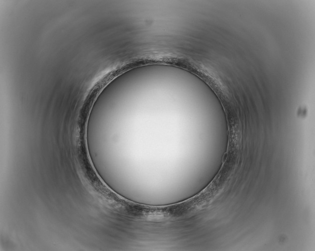 X0000091560587200709141537