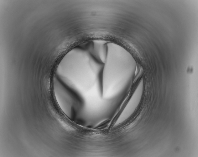 X0000091560589200709141537