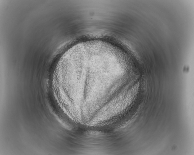 X0000091560590200709141537