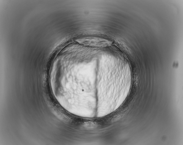 X0000091560591200709141537