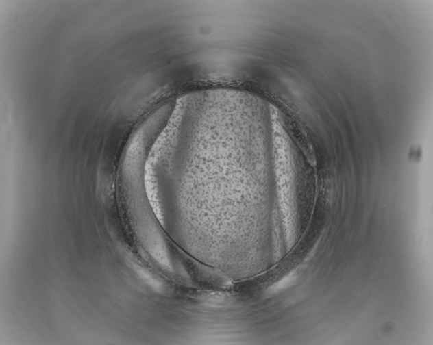 X0000091560593200709141537