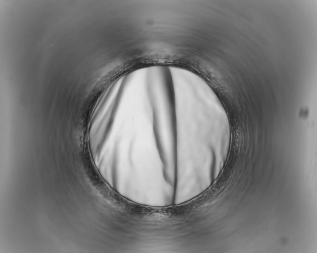 X0000091560594200709141537