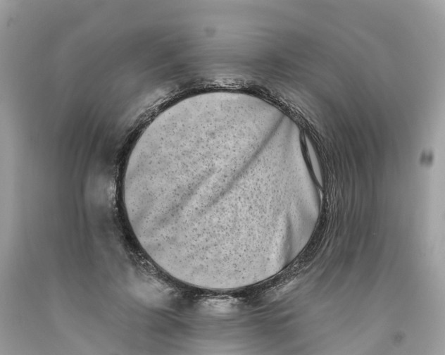 X0000091560595200709141537