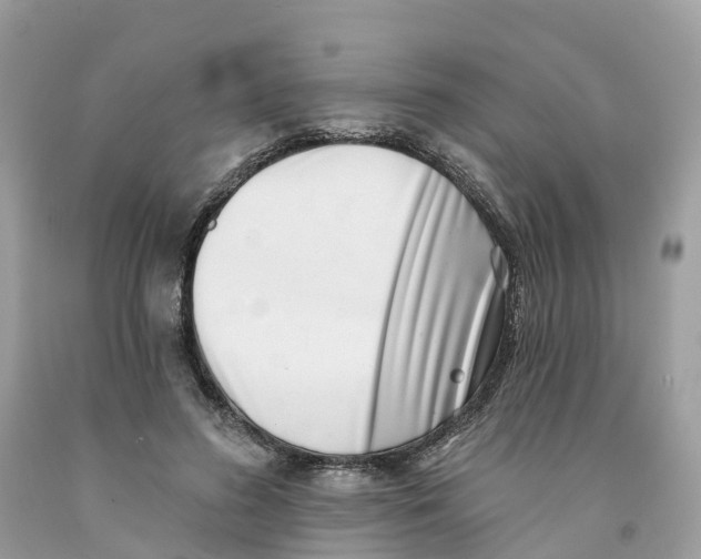 X0000091560596200709141537