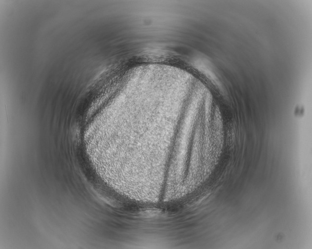 X0000091560598200709141537