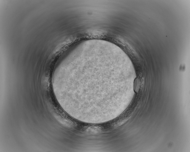 X0000091560599200709141537