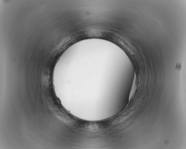 X0000091560600200709141537