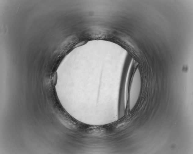 X0000091560601200709141537