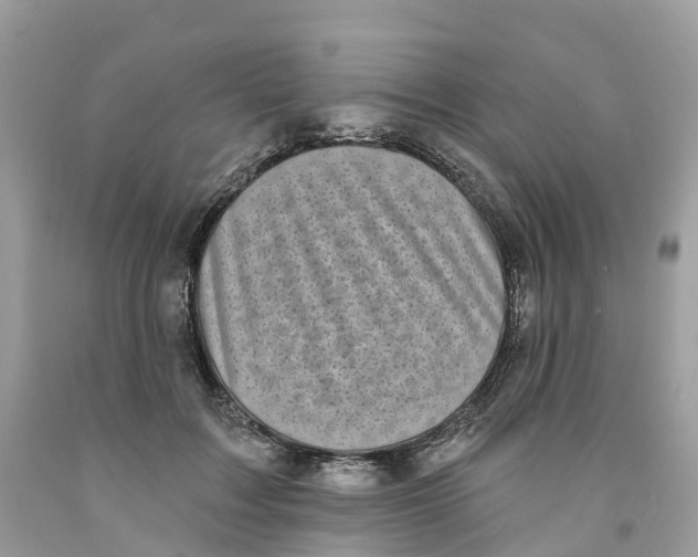 X0000091560603200709141537