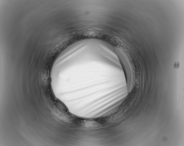 X0000091560605200709141537