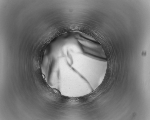 X0000091560606200709141537