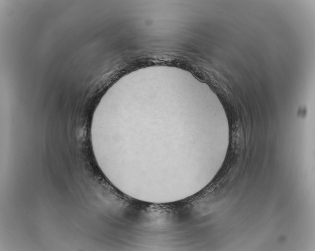 X0000091560608200709141537