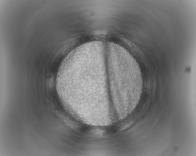 X0000091560610200709141537