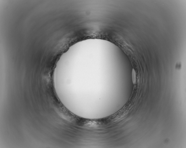 X0000091560611200709141537