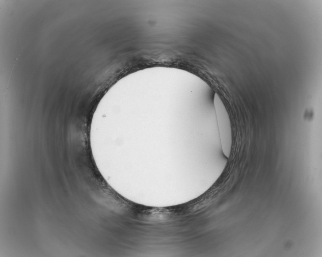 X0000091560612200709141537