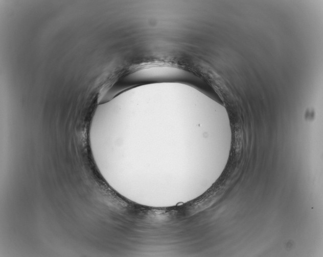 X0000091560613200709141537