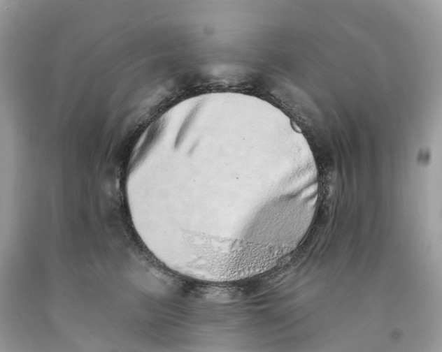 X0000091560615200709141537