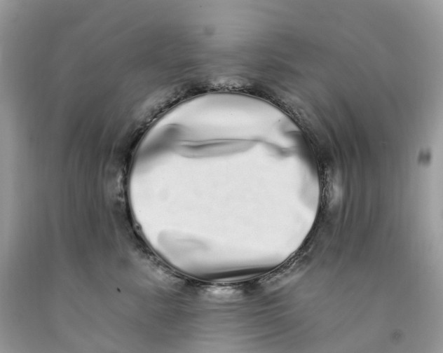 X0000091560619200709141537