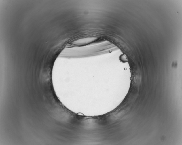 X0000091560620200709141537