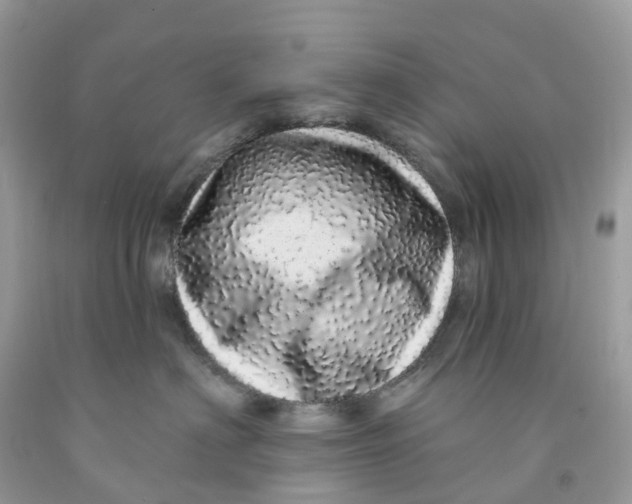 X0000091560622200709141537