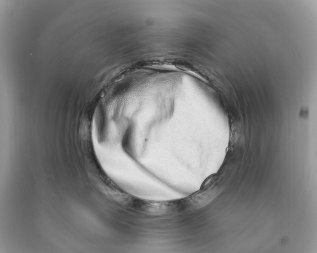 X0000091560623200709141537