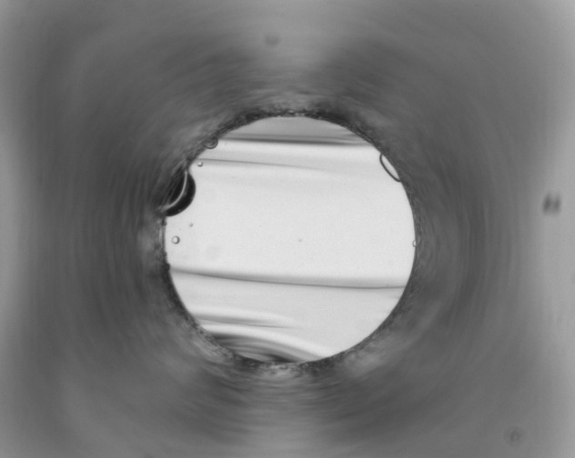 X0000091560624200709141537