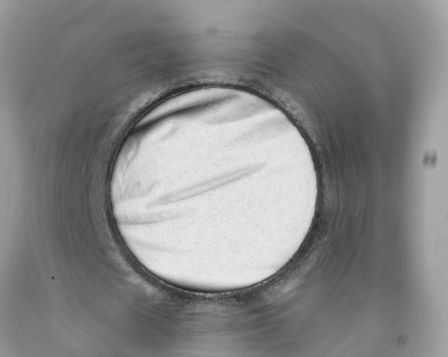 X0000091560625200709141536