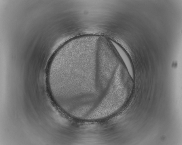 X0000091560626200709141536