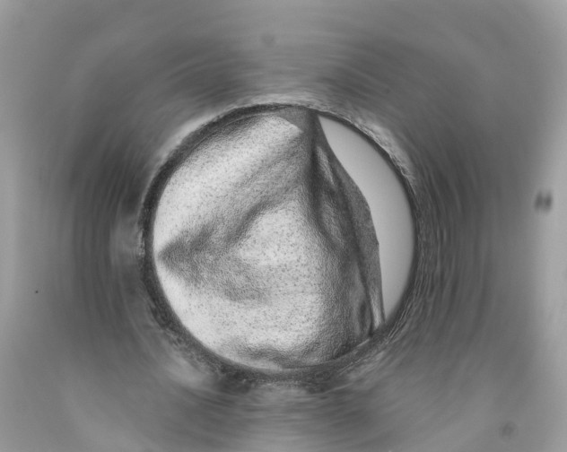 X0000091560628200709141536