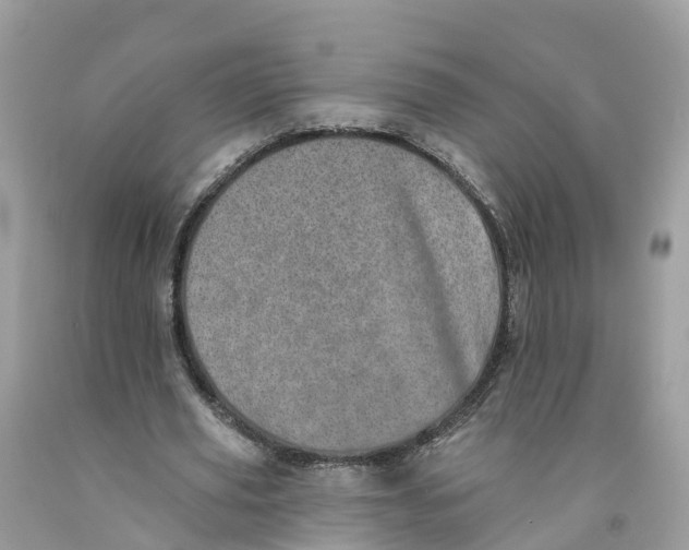 X0000091560629200709141536