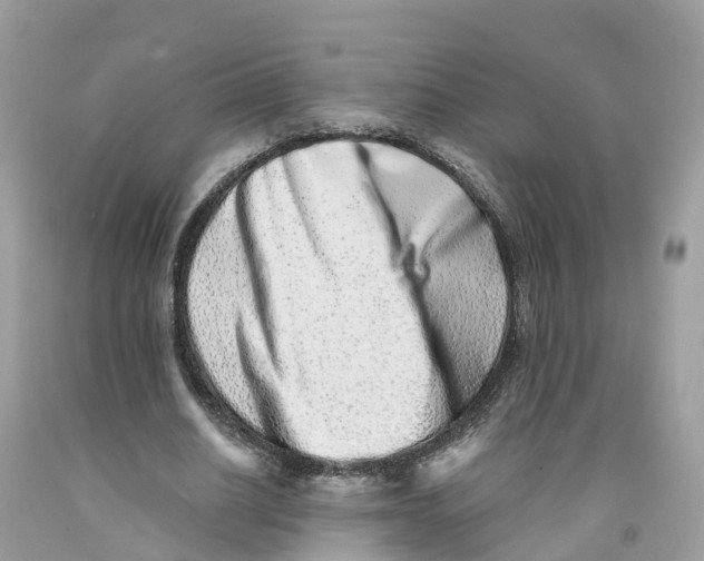 X0000091560630200709141536