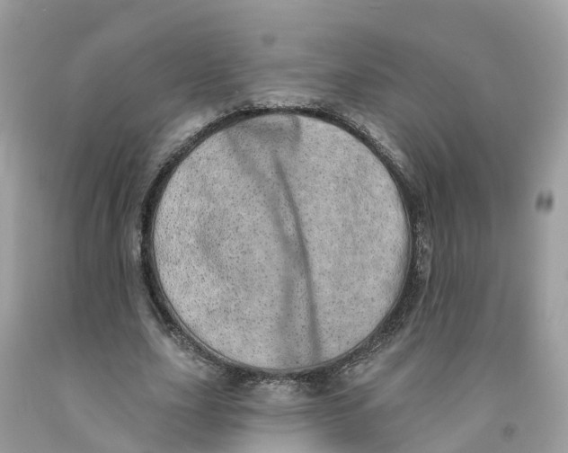 X0000091560631200709141536