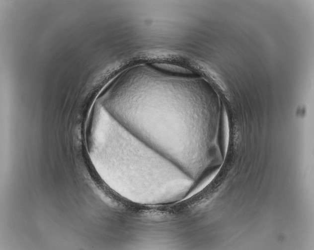 X0000091560633200709141536